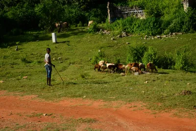 DSC_8480 (Large).JPG